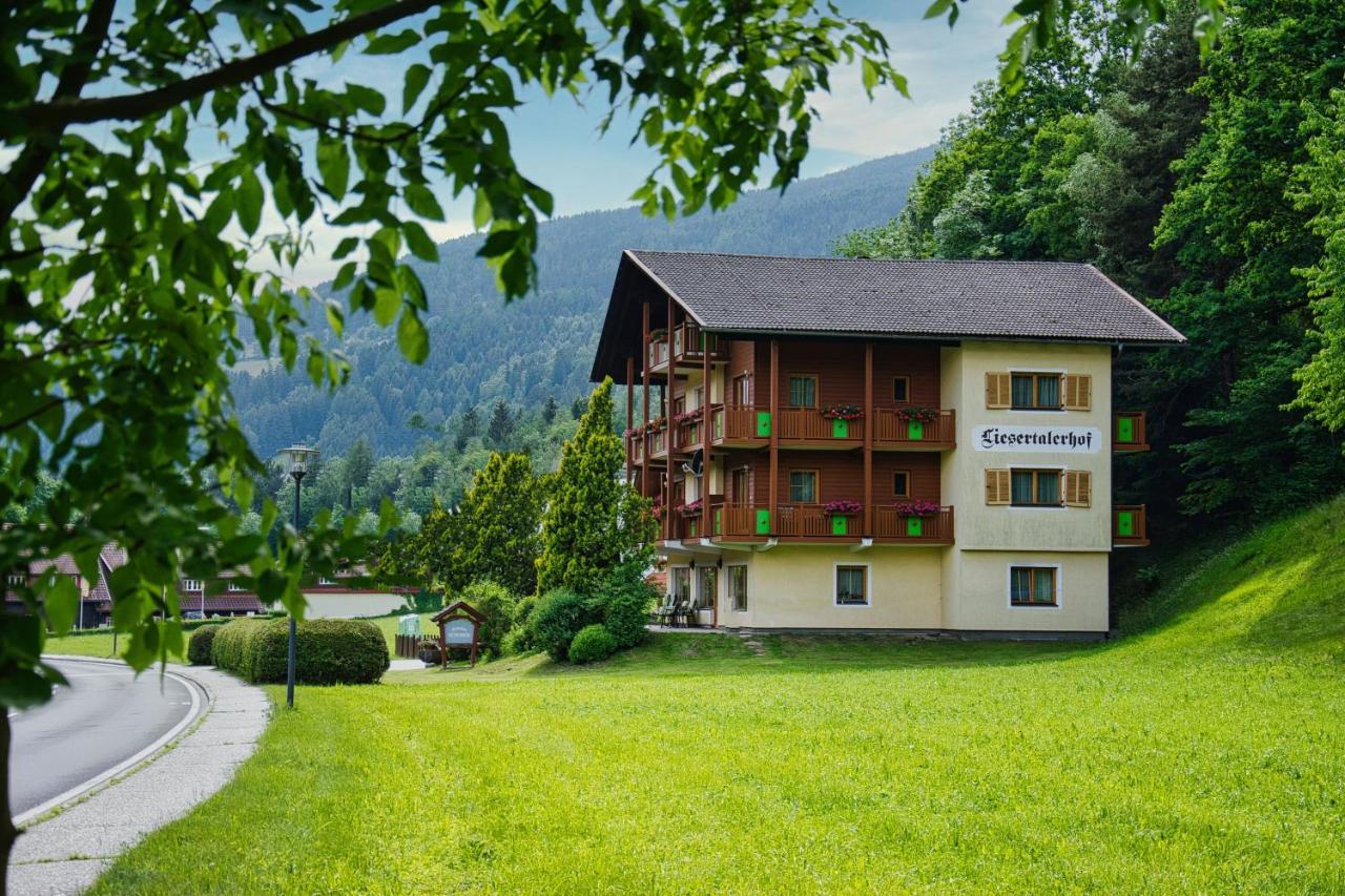 Pension Liesertalerhof Trebesing Екстер'єр фото